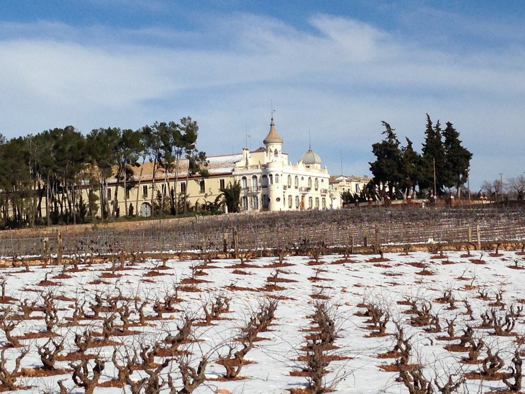 Finca Casa Nueva Requena Dış mekan fotoğraf